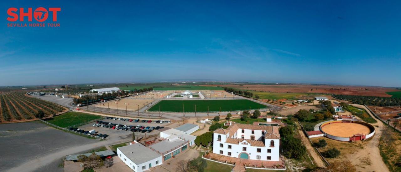 Cortijo La Amazona Villa Sevilla Exteriör bild